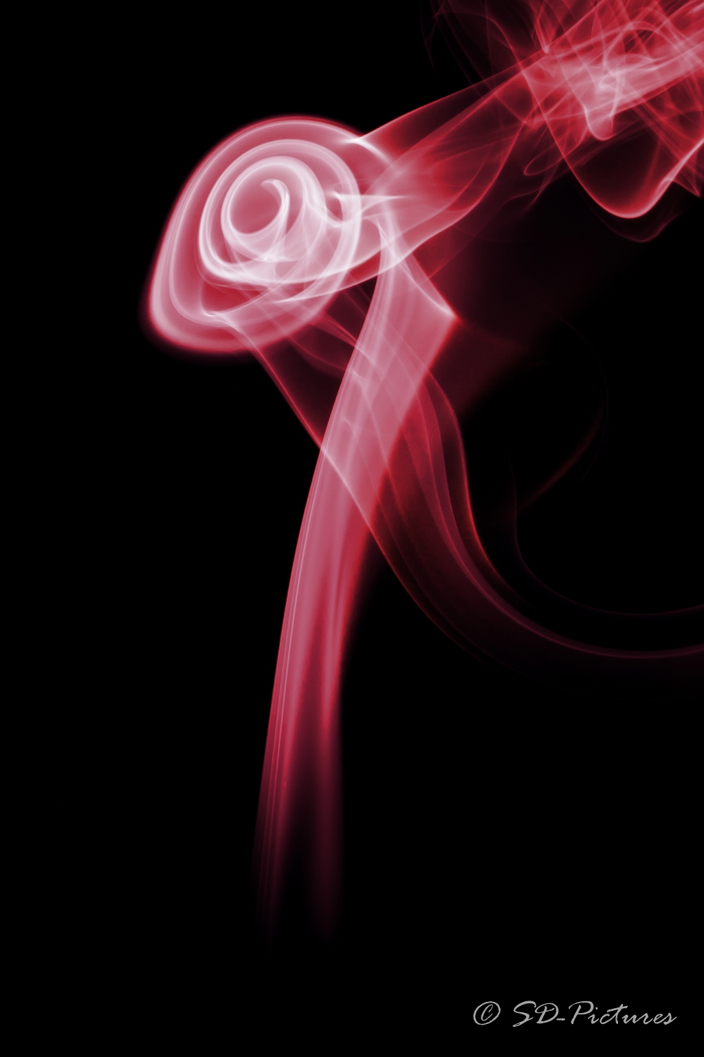 WEB  DP 3315 als Smartobjekt 1 Kopie